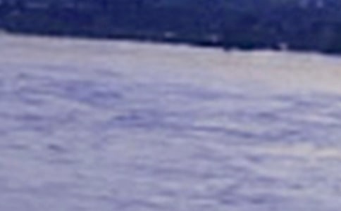 �茑(xi��)���P(gu��n)�L(zh��ng)����Ԋ(sh��)��