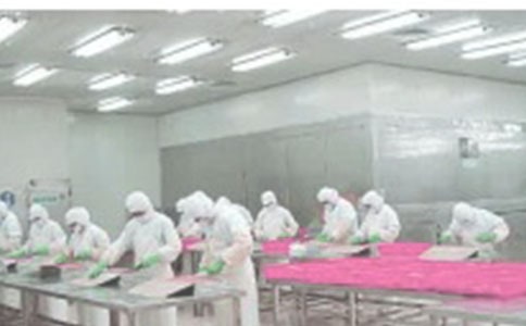 車間優(yōu)秀員工評語2018