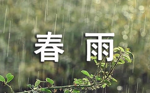 春雨的優(yōu)美詩句