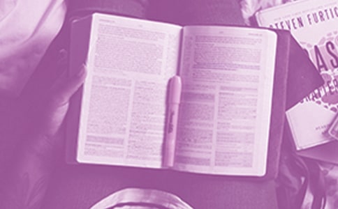 ���������x���