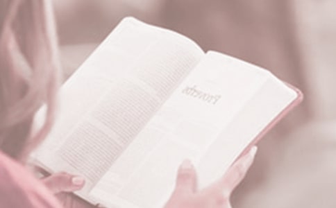 世界讀書日倡議書