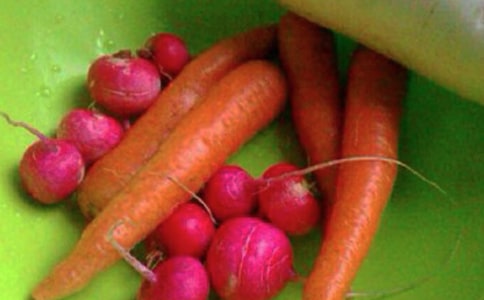 健康的諺語格言