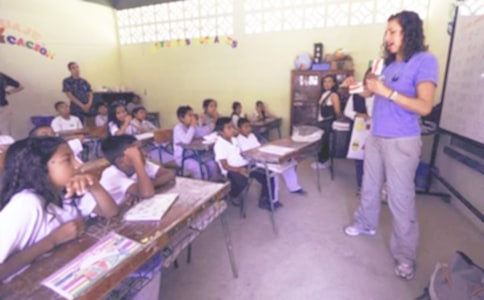 個(gè)人年度教學(xué)工作總結(jié)