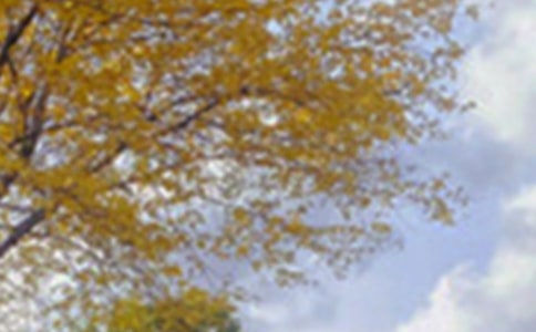 �P(gu��n)���茑��ԭ��ɫ�ľ���,�茑�茑��ԭ��ɫ�ľ���