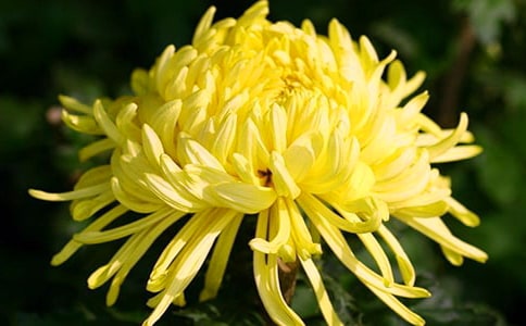 �ջ�������300��