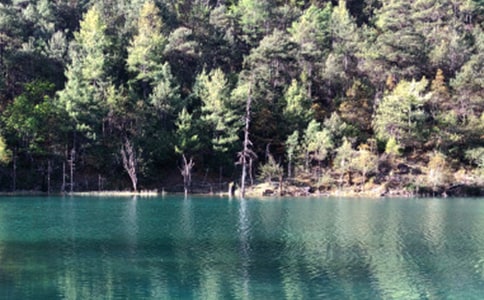 ������������ô��(b��o)��