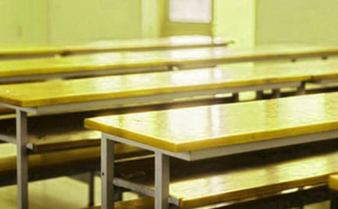 再見了,我的母校小升初作文1000字