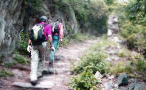 ��ɽ���f�f15ƪ