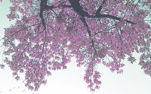 秋季教學(xué)工作總結(jié)15篇