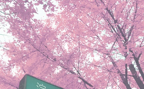 �＾�̌W�������Y