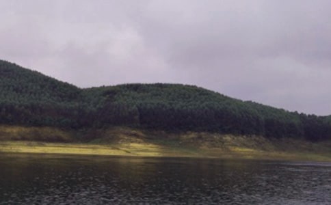 ˮ��(k��)������300�֡�����5ƪ��