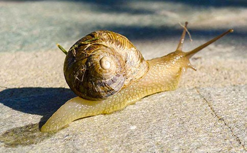 ΁ţ����300�ֺϼ�[8ƪ]