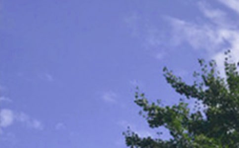 個性午安簽名(精選270句)