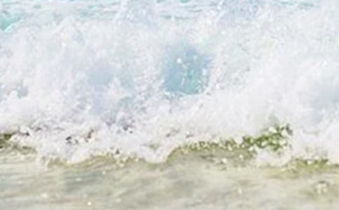 �茑(xi��)�����Ԋ(sh��)��ժ����ȫ