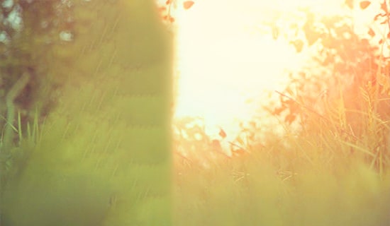 �P(gu��n)�ڻ�Ψ��Ԋ�䣨���x30�䣩